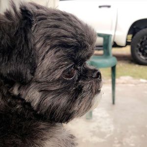 Meet your Posher, Kim